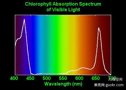 叶绿素吸收光谱